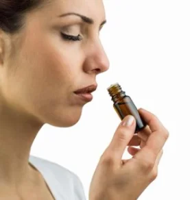 citronellol-bp